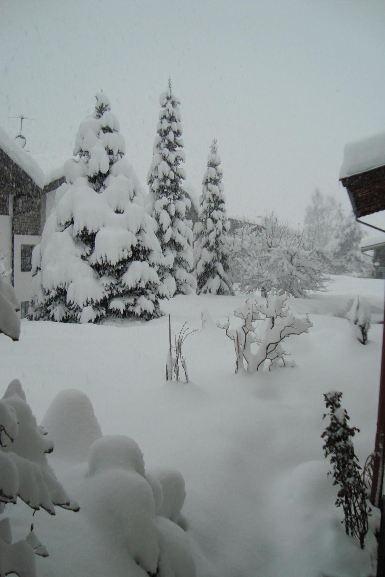 Landhaus Bachler Brixen im Thale Exterior photo